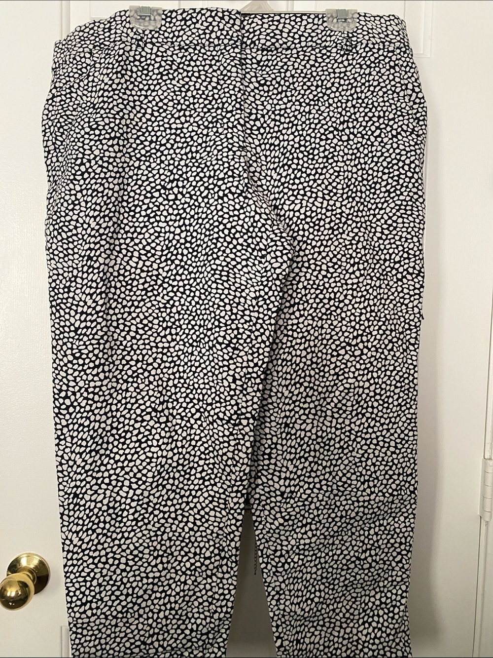 Lane Bryant Black and White Printed Pants